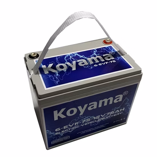 12V 75ah Deep Cycle Motive Power Elektrofahrzeugbatterie 6-Evf-75